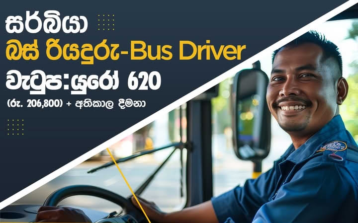 යුරෝපයේ සර්බියා 🇷🇸 Bus Drivers බස් රියදුරු 