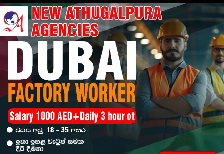 ඩුබායි 🇦🇪 Factory Workers 