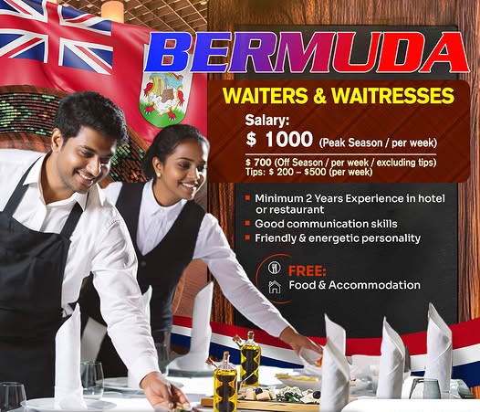 Waiter or Waitress - BERMUDA  ✨